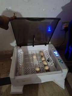 Eggs Hatching Autometic incubator