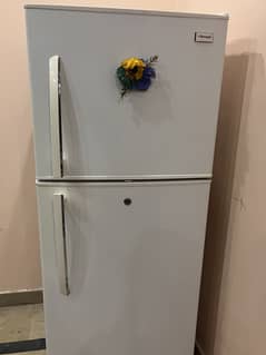 Italian made fridge