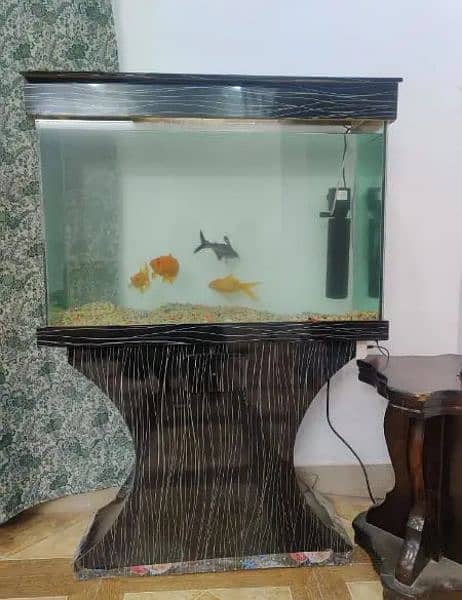 Aquarium with fish 0