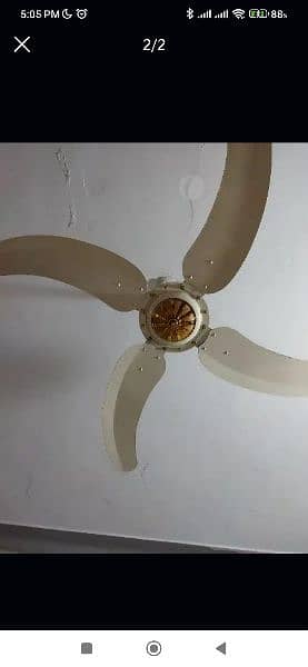 Sonex ceiling fan 1