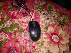 mouse 0
