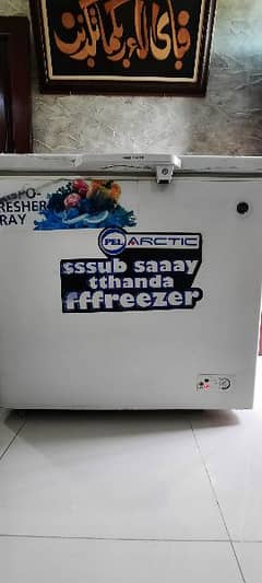Home Used PEL Deep Freezer Excellent Condition Available for Sale