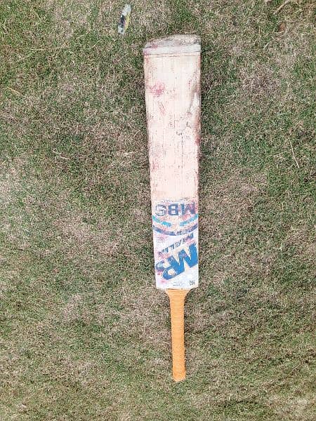 MBS Original Cricket bat 1