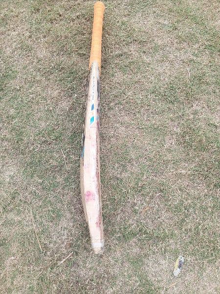 MBS Original Cricket bat 2