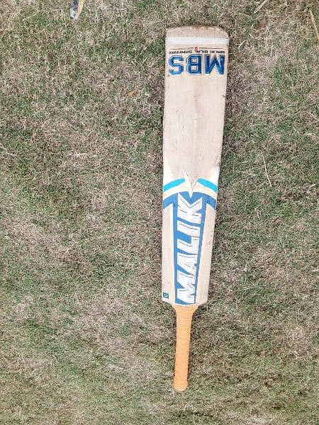 MBS Original Cricket bat 3
