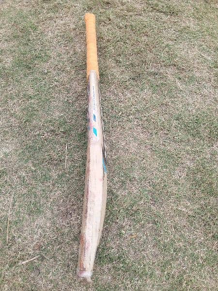 MBS Original Cricket bat 5