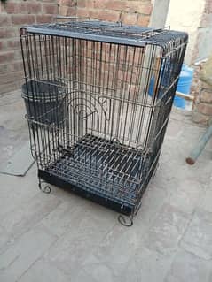 African Grey parrot cage very good condition moti tar 8no