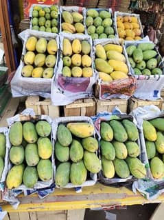 we are available every types of mangos