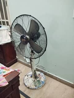 yunus pedistal fan full size just like brand new 6 month use