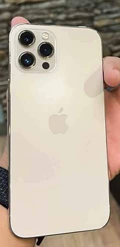 iPhone12promax gold color 128gb pta approved