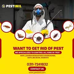 Termite Control Treatment 0