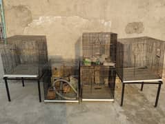 5 separate Bird Cages/Stands and accessories.