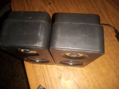 wired speaker's