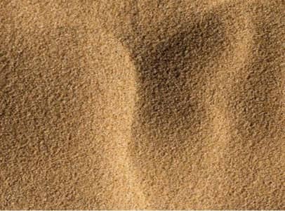 Frass The Fertilizer For Healthy Plants