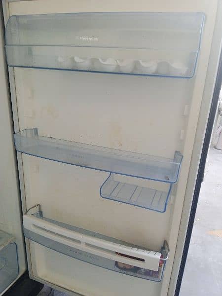 Electrolux fridge 4