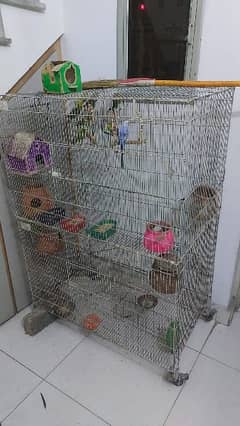 It is the pair off parots 7 green parots 1 blue also sqle with cage