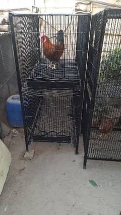 Cages for SALE