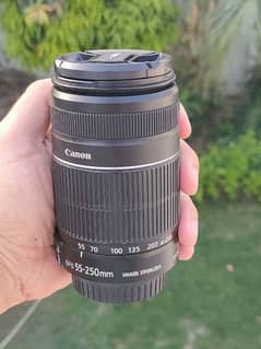 Canon EF-S 55-250mm (with Image Stabilization)