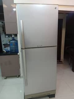 pel refrigerator frost