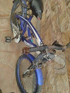 Bicycle and Hemets for sale