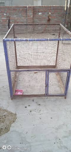 hen cage