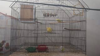 HUGE CAGE FOR SALE Read full add