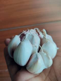 100% organic home grown garlic
