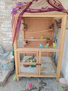 cage for sale with parrot