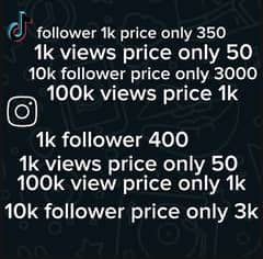 cheap price Instagram TikTok service