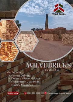 Best Quality of Bricks