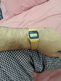 casio vintage collection in gold edition.