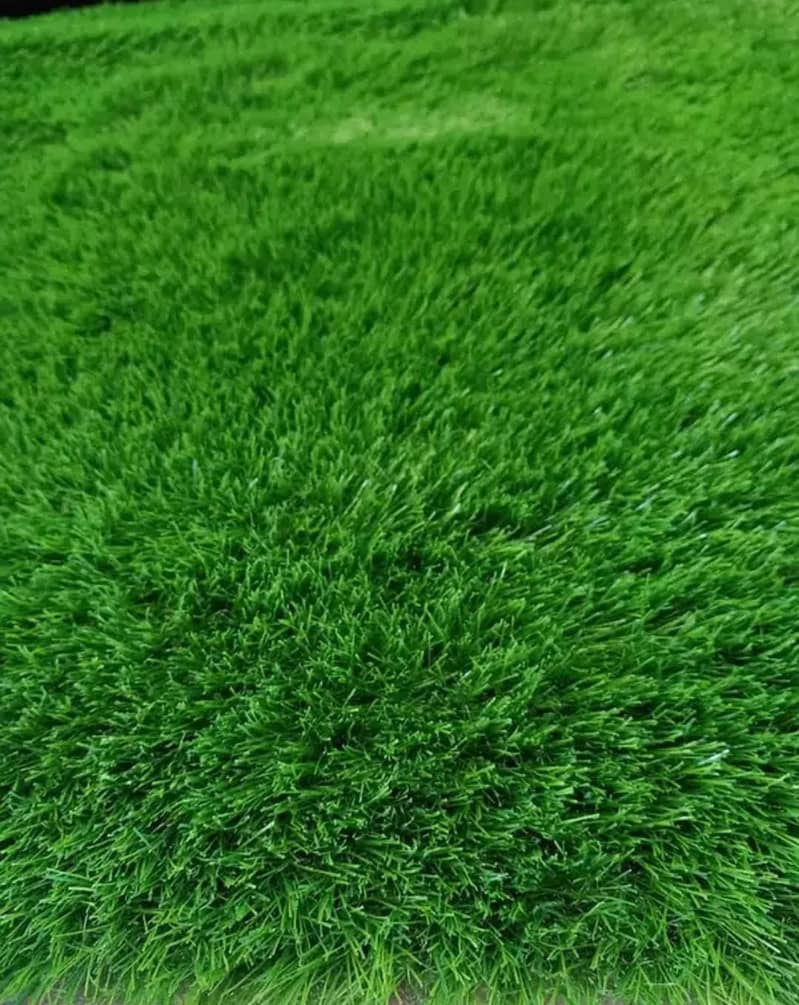 Artificial grass carpet Astro turf sports grass Fields Grand interiors 2