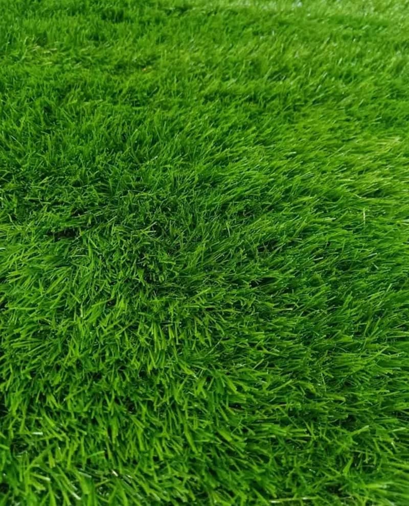 Artificial grass carpet Astro turf sports grass Fields Grand interiors 3