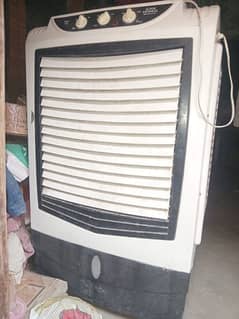 ac colar for sel 1 year used