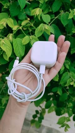 iphone charger ctype