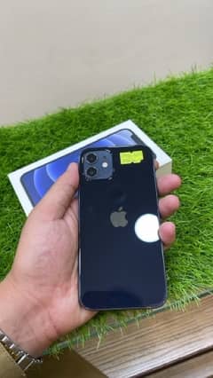iphone 12 pta approved 64gb