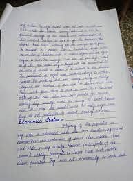Handwriting assignment writer