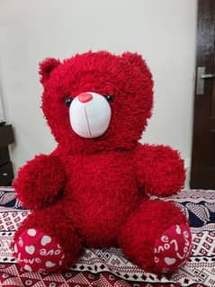 Teddy for sale