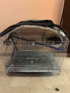 parrots cage available for sale
