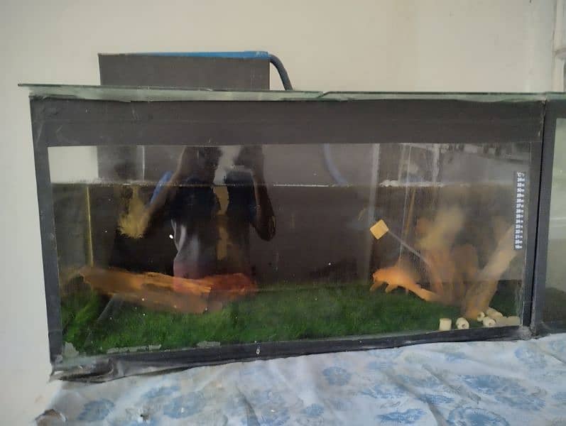 Aquarium for sell 0