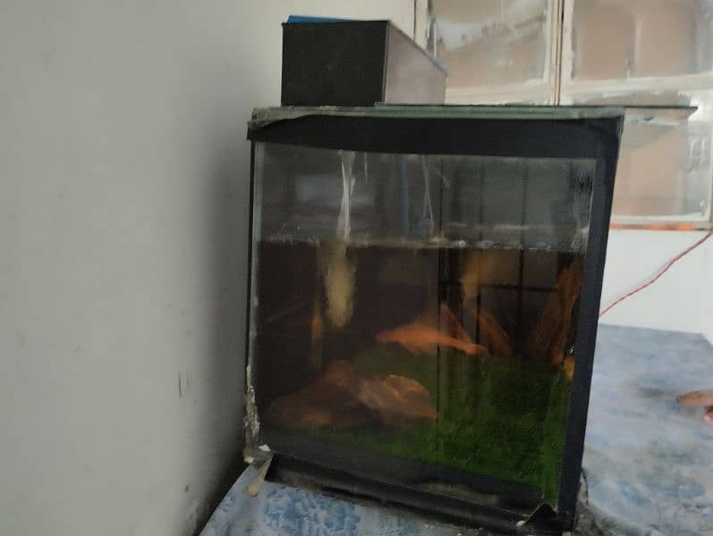 Aquarium for sell 3