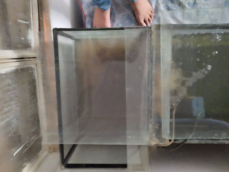 Aquarium for sell 4