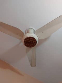 56" Ceiling Fan
