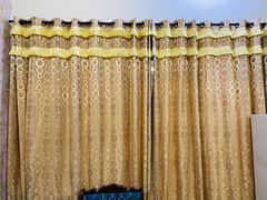 Elegant Light Skin Curtains for Sale - 8.21 ft x 10.5 ft