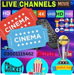 International/Local tv channels, movies&series library*03001115462**