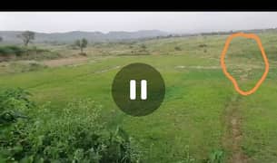 Dairy,Goat, Cattle Farms with Agricultural Land for Rent