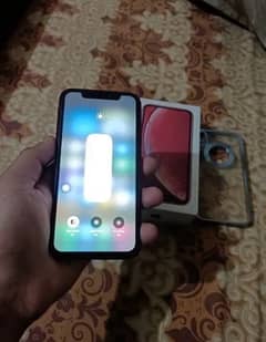 iPhone XR full box dual pta approved