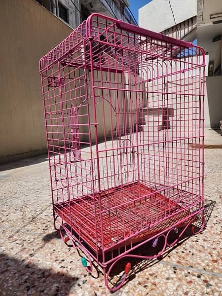 birds cage 8