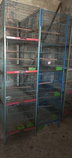 love bird & cages for sale