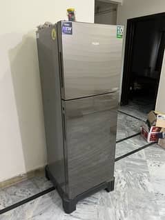 Haier Refrigerator Fridge 10/10